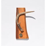 Deer Horn Jewelry Holder/Towel Rack
